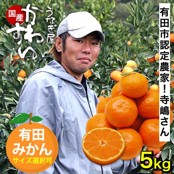 【収穫次第順次発送】寺嶋さんのみかん 温州みかん Sサイズ5キロ 擦れ・形不揃い 訳あり 温州 有田みかん 和歌山  みかん ミカン 果物 フルーツ