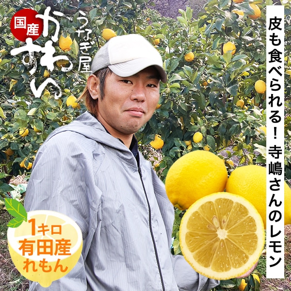【1月下旬以降発送】寺嶋さんの有田産レモン 1キロ 有田市認定みかん農家 国産レモン れもん 檸檬 国産れもん 国産檸檬 柑橘 ノーワックス