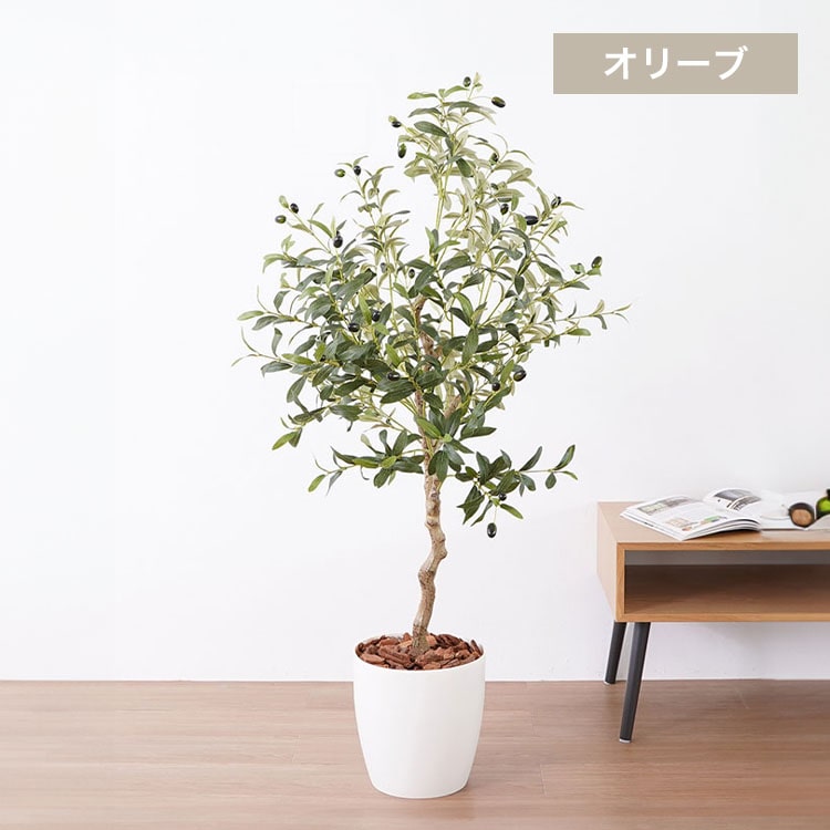 観葉植物 オリーブ 23028 ホワイト【代引不可】【同梱不可】