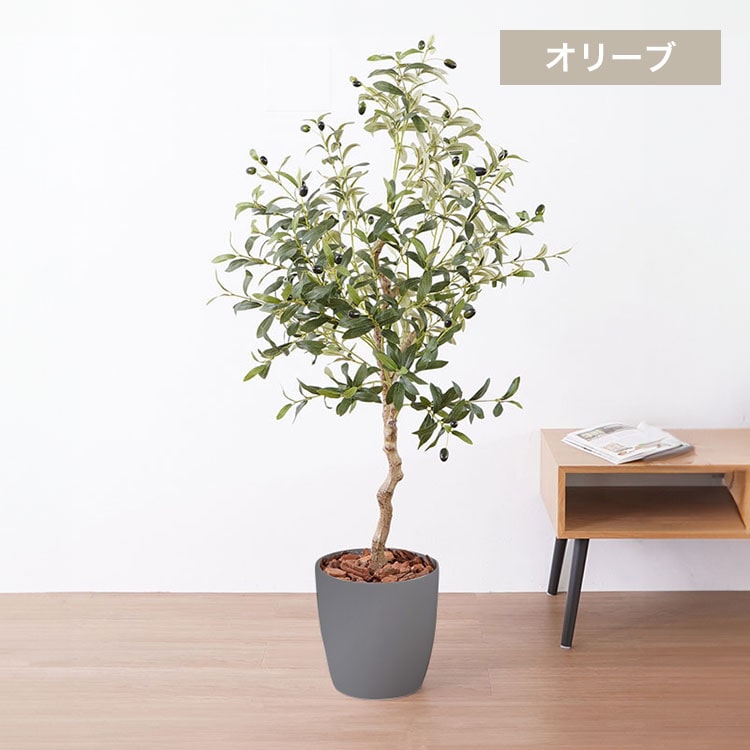 観葉植物 オリーブ 23028 グレー【代引不可】【同梱不可】