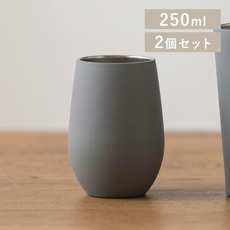 ステンレスタンブラー 250ml STE-250 2個セット ライトグレー×2