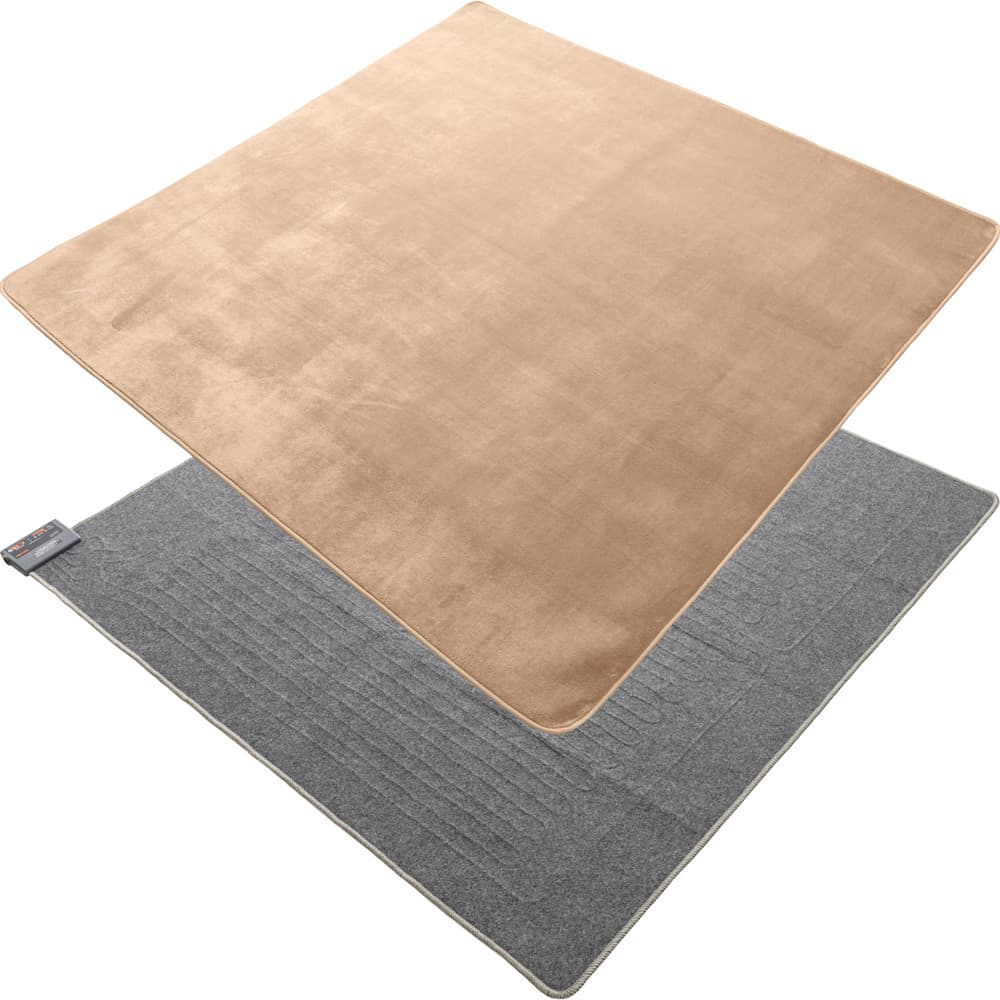 TEKNOS ラグ+3畳用カーペット2点セット ベージュ HCMF-IR300