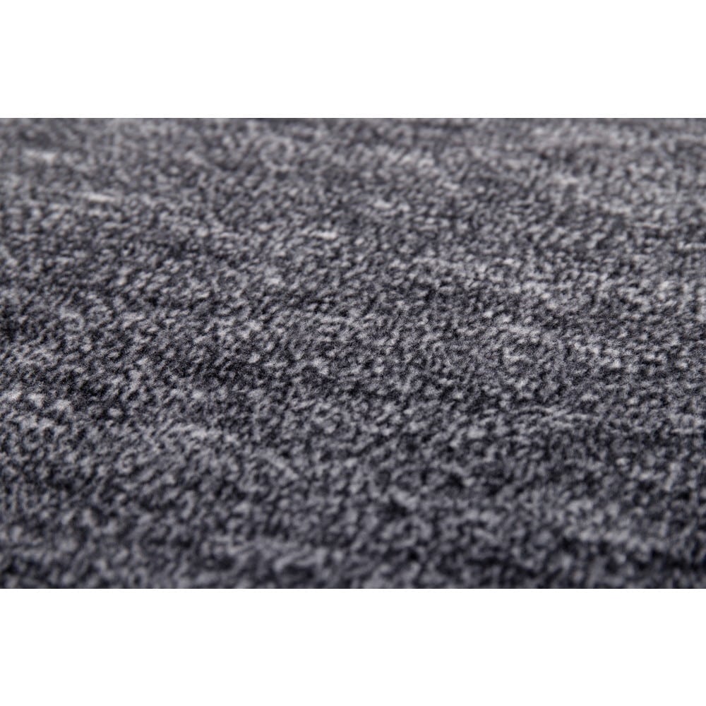 ペットにやさしい平織カーペット ラウム 江戸間6畳 【時間指定不可】【代引不可】【同梱不可】