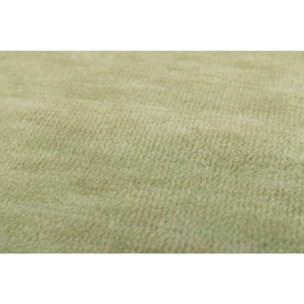 ペットにやさしい平織カーペット ラウム 江戸間6畳 【時間指定不可】【代引不可】【同梱不可】