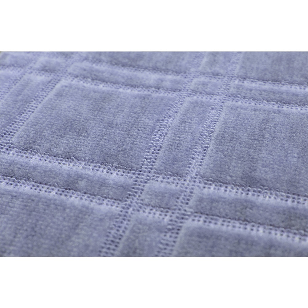 抗菌・防臭加工の平織カーペット シオン 江戸間6畳 【時間指定不可】【代引不可】【同梱不可】