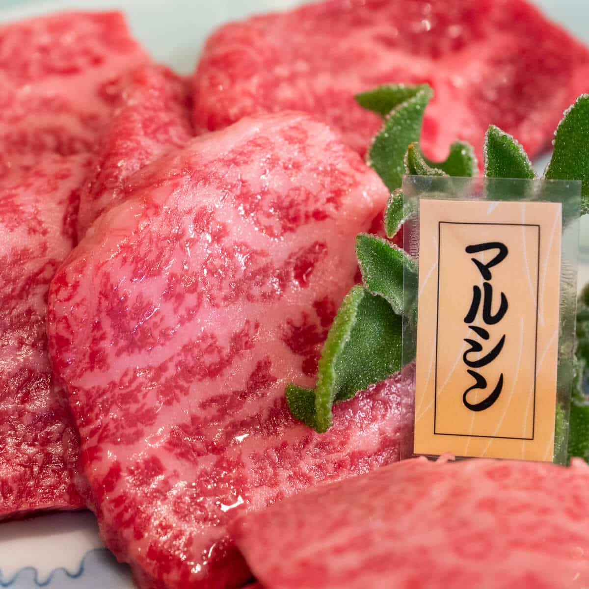 【くまもと黒毛和牛プレミアム『和王』】厳選 希少部位 焼肉用 5種セット(各200g × 5種 計1kg)