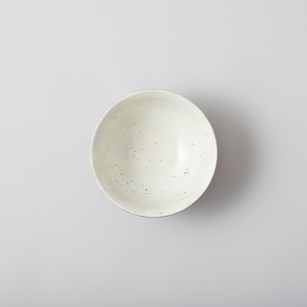 【波佐見焼】 BARBAR サビ十草 丼