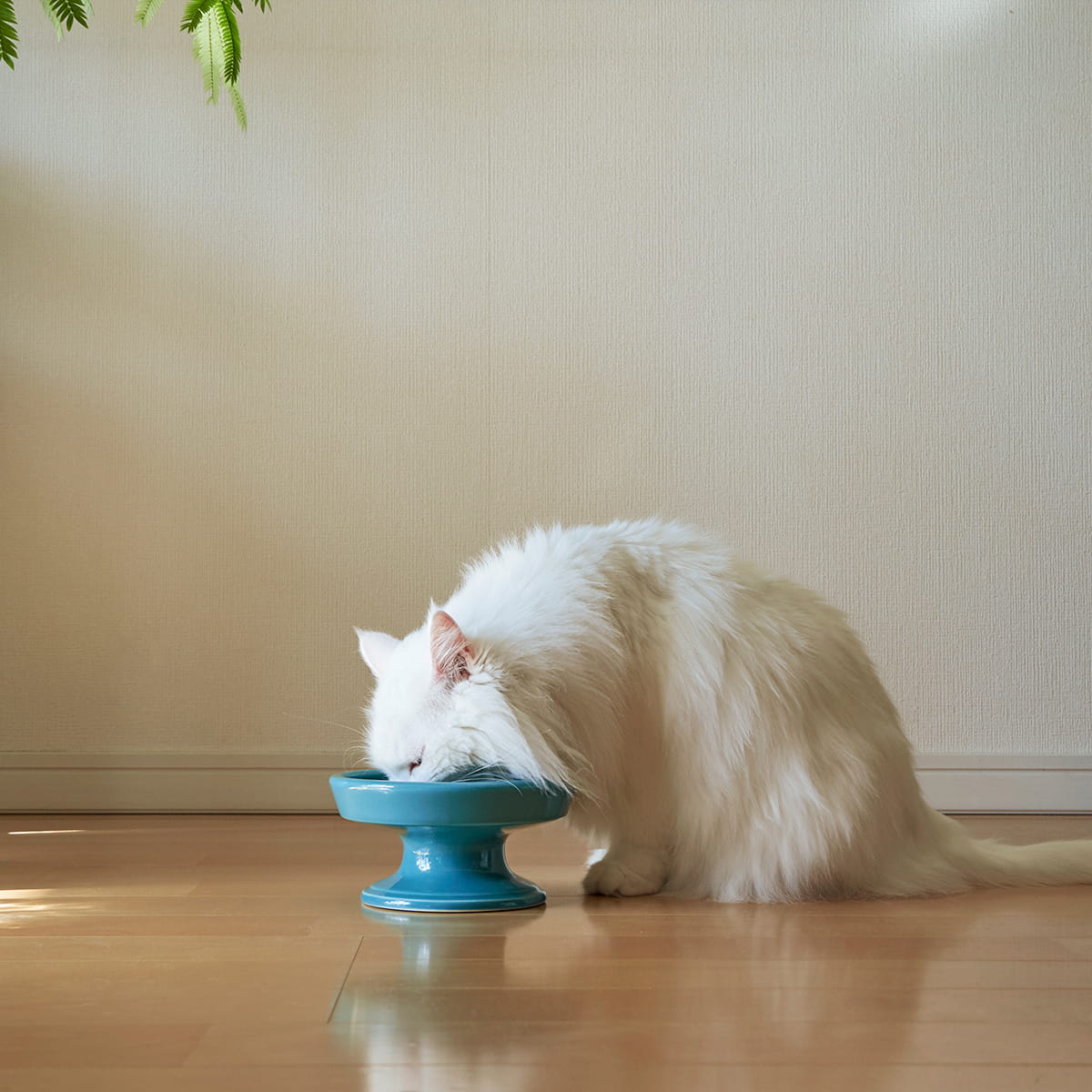 【波佐見焼】 HASAMI Season01 フードボウル ネイビー