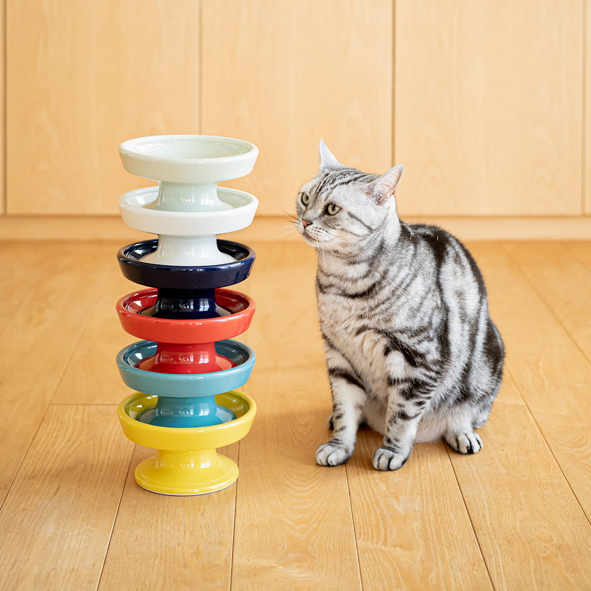 【波佐見焼】 HASAMI Season01 フードボウル ネイビー