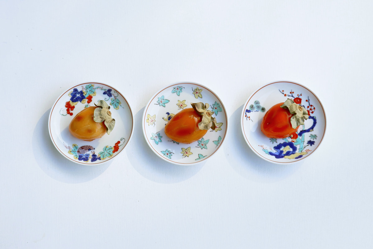 【波佐見焼】 BARBAR 色絵 小皿 ピグミーヘッジホッグ