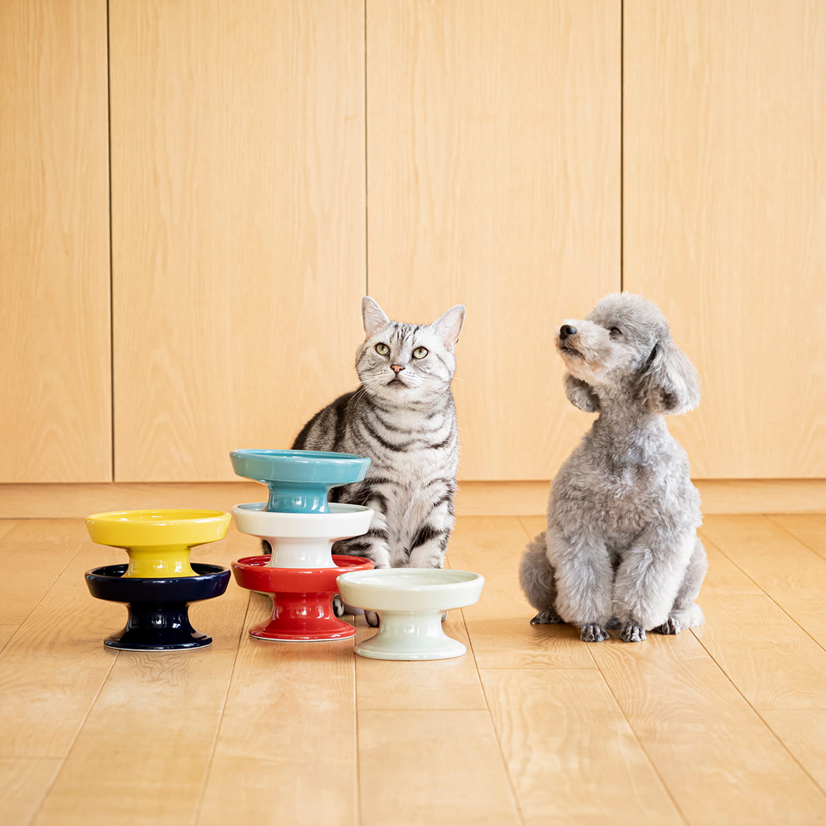 【波佐見焼】 HASAMI Season01 フードボウル ネイビー