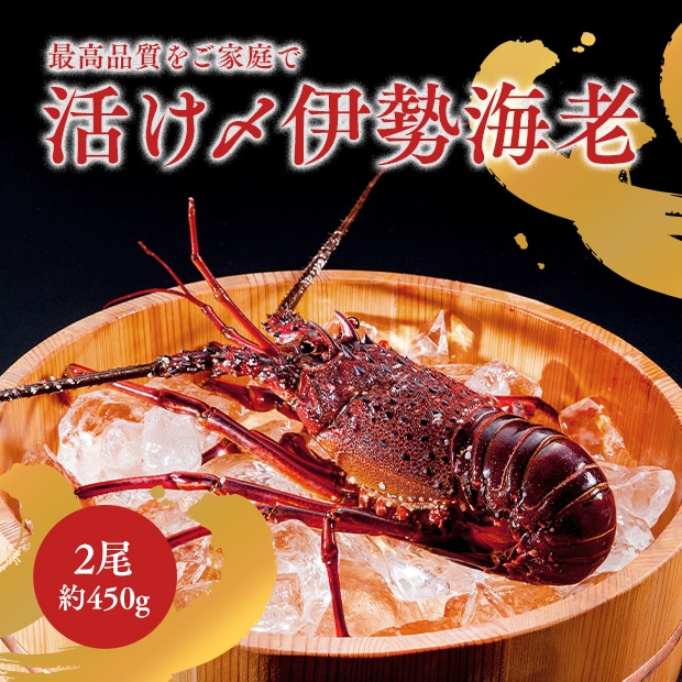 鳥羽志摩産活け〆冷凍伊勢海老