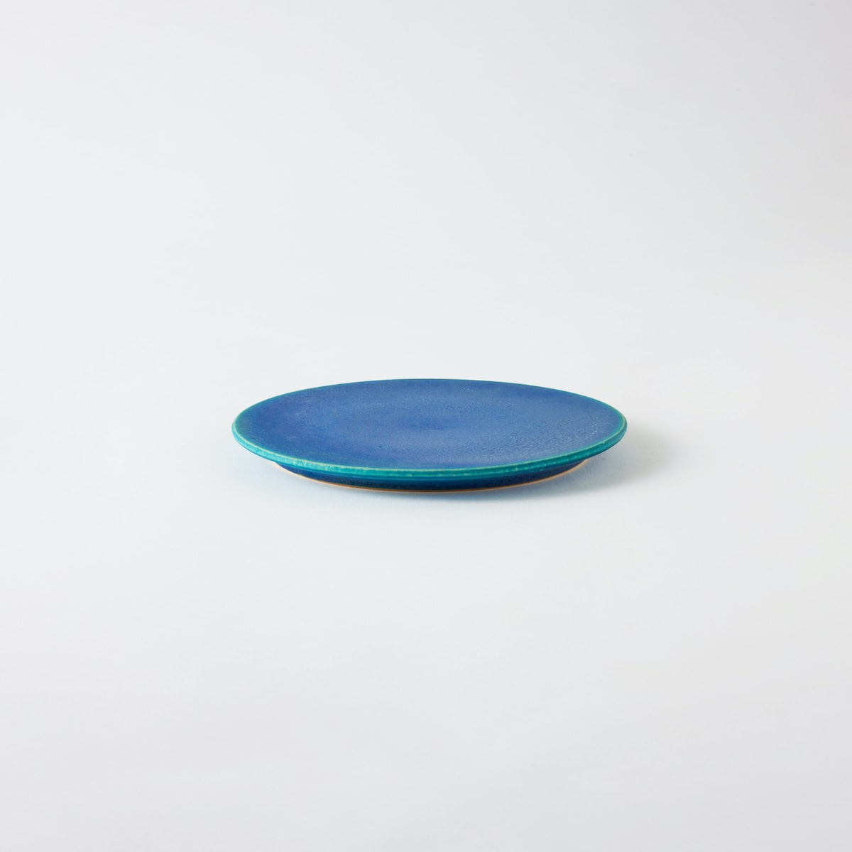 【信楽焼】THE HARVEST BLUE VELVET  中皿 フラットプレート  21cm