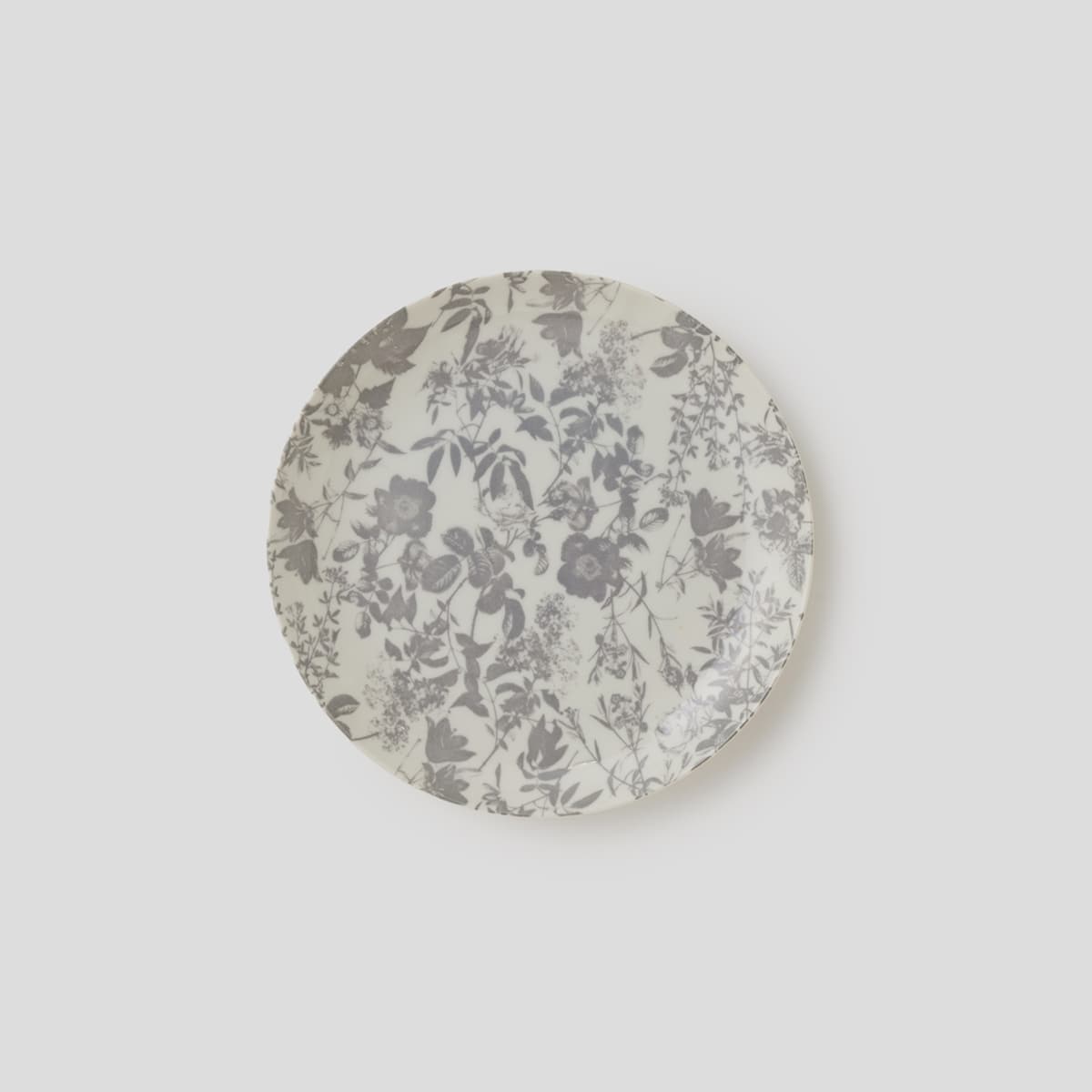 【美濃焼】THE HARVEST ボタニカル 中皿 21cm シルバーリーフ