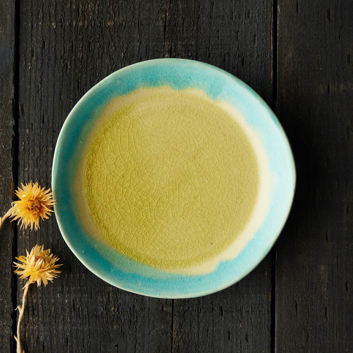 【信楽焼】信楽四季彩陶 -清明 平皿 陽春 (ようしゅん)