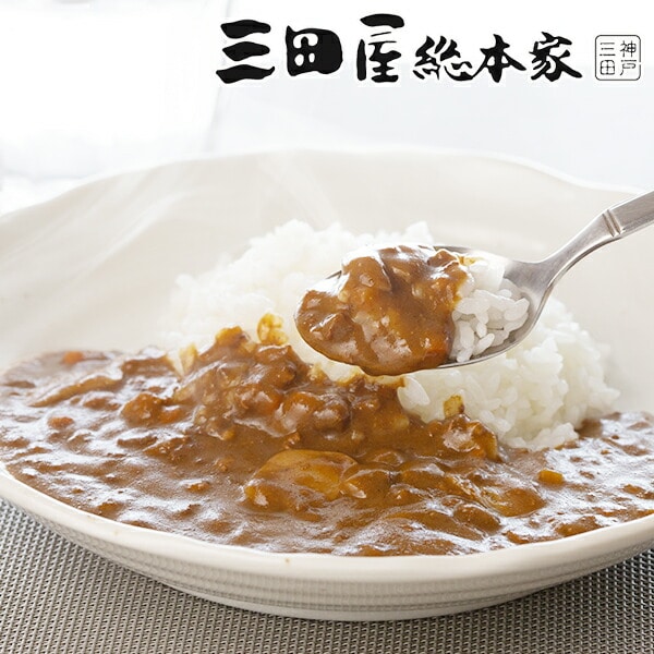 ギフト カレー カレーセット 「三田屋総本家」国産挽き肉のキーマカレー10食入 ご自宅用 4560077}『SKT』 詰め合わせセット 誕生日 お祝い【内祝い ギフトセット】