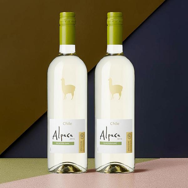 おうちワイン チリワイン 辛口 白ワイン アサヒ サンタヘレナ アルパカ ソーヴィニヨン ブラン 750ml×2本(002)『OMS』【本州のみ　送料無料】