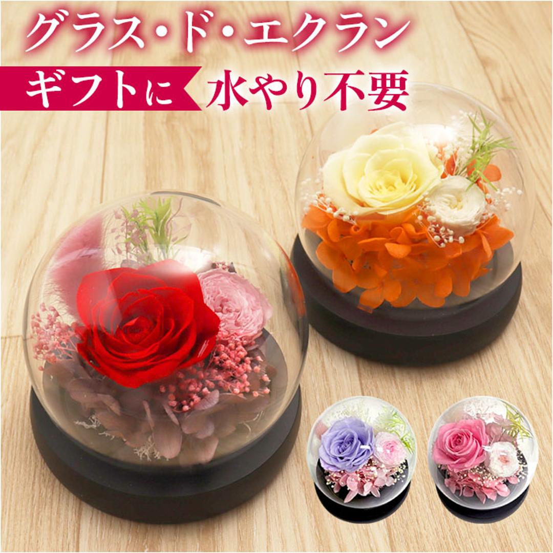 ブリザードフラワ- 通販 フラワーギフト ガラス製 フラワーアレンジメント ガラスドーム お花 花 かわいい おしゃれ フラワー 結婚祝い 新築祝い 玄関 リビング 引越し祝い インテリア 退職 退職祝い アムール・デ・フルール ギフト 贈り物 引っ越し祝い ピンク ・