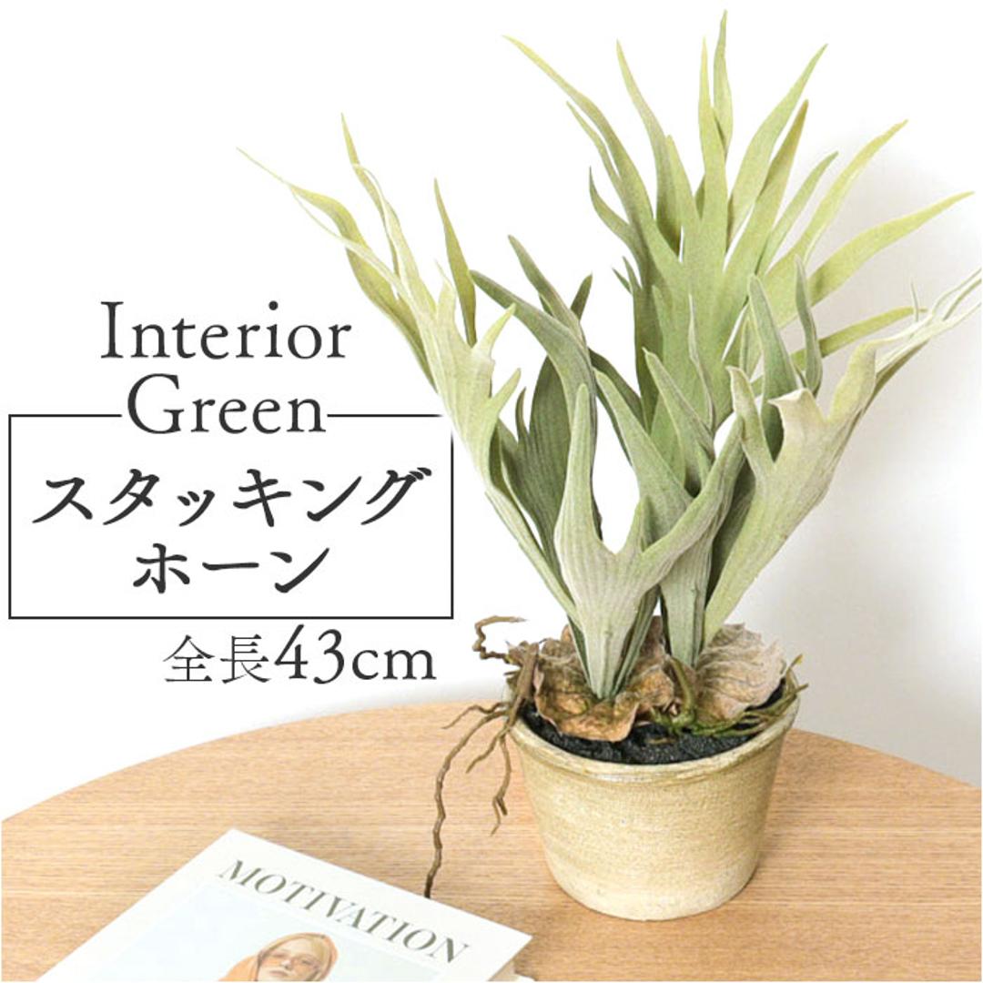 観葉植物 フェイク 大型 通販 フェイクグリーン スタッグホーン アーティフィシャルグリーン コウモリラン インテリアグリーン 人工観葉植物 大きめ 鉢植え ポット リビング ディスプレイ おしゃれ GLA-1364 スタッキングホーンポット ポピー YDM グリーン ・