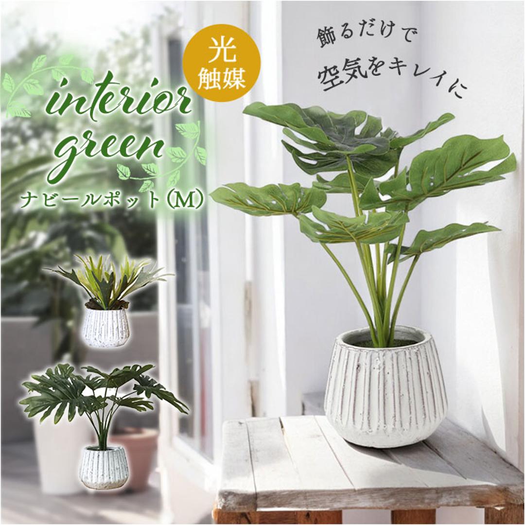 光触媒 人工観葉植物 通販 フェイクグリーン インテリアグリーン イミテーショングリーン インテリアプランツ ポット 陶器 植物 飾る 消臭 抗菌 防カビ おしゃれ 置物 イミテーション 癒し 癒やし リビング 和室 寝室 贈り物 ギフト 新生活 コウモリラン ・