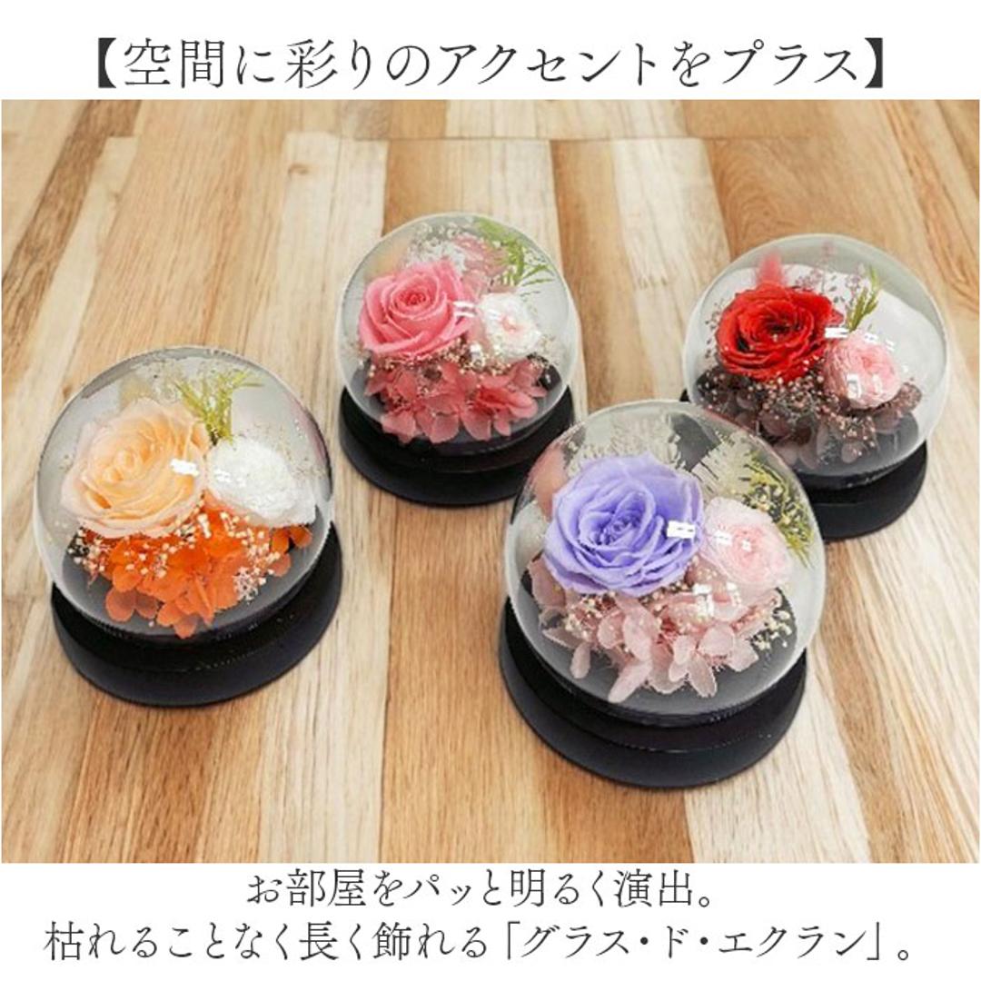 ブリザードフラワ- 通販 フラワーギフト ガラス製 フラワーアレンジメント ガラスドーム お花 花 かわいい おしゃれ フラワー 結婚祝い 新築祝い 玄関 リビング 引越し祝い インテリア 退職 退職祝い アムール・デ・フルール ギフト 贈り物 引っ越し祝い ピンク ・