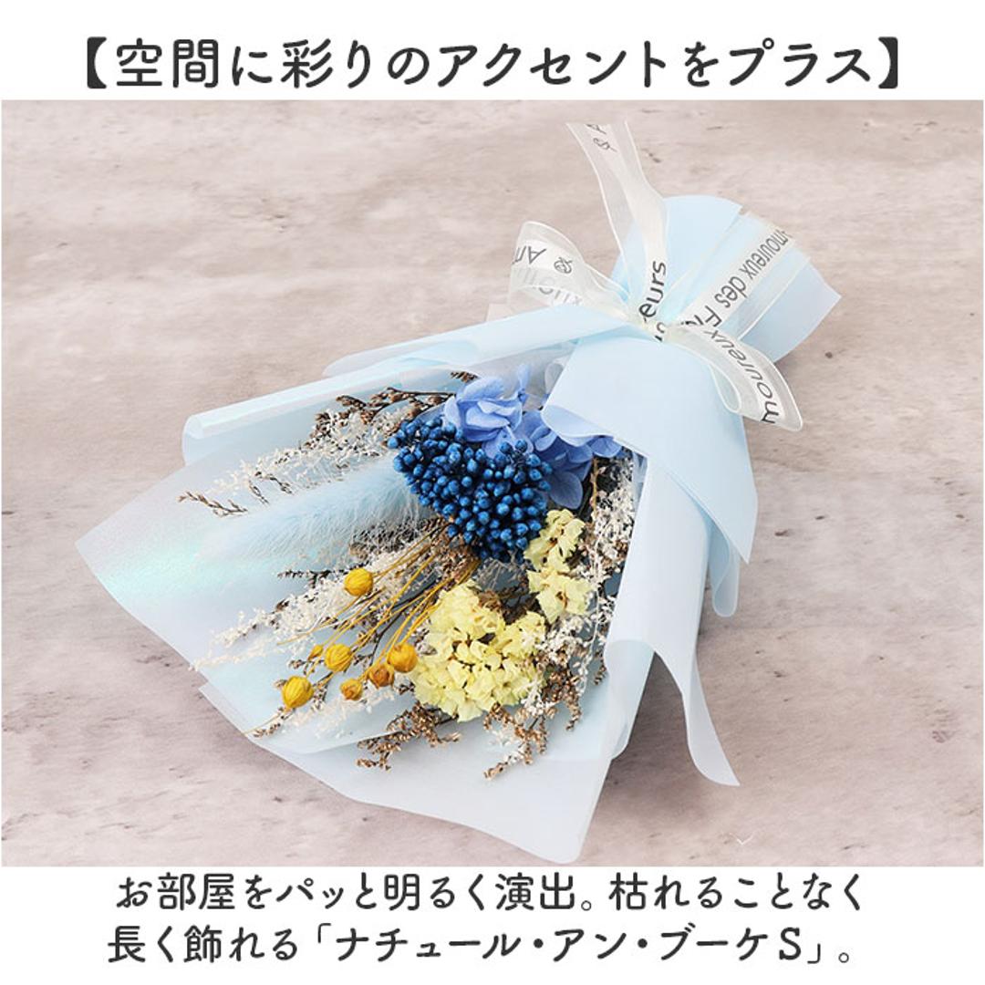 ブリザードフラワ- 通販 ドライフラワー フラワーギフト 花束 お花 花 フラワーアレンジメント フラワー かわいい おしゃれ 結婚祝い 新築祝い 玄関 リビング 引越し祝い インテリア 退職 退職祝い アムール・デ・フルール ギフト 引っ越し祝い ピンク ・