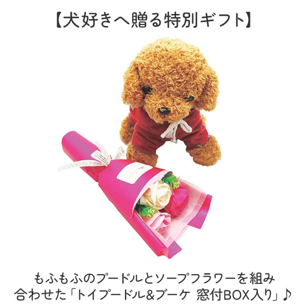 ソープフラワー ぬいぐるみ 花束 通販 犬 ソープフラワーギフト フラワーソープ フラワーソープブーケ シャボンフラワー フレグランスフラワー ブーケ ギフト ボックス AM26TP ソープ フラワー 母の日 ギフト 結婚祝い フェイクフラワー 造花 観葉植物 レッド ・