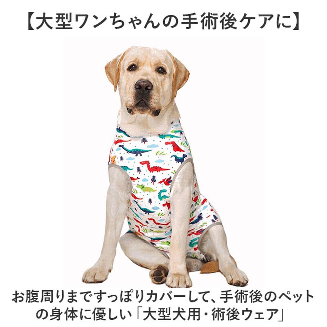 術後服 犬 通販 大型犬 術後ウェア 前後足 イヌ術後服 袖なし 傷口保護 傷舐め防止 避妊 去勢 けが ドッグウェア 術後着 通気性 術後カバー服 介護服 男女用 犬の服 かわいい 可愛い おしゃれ オシャレ シンプル パジャマ ペット用品 ダイナソー 【即日発送】26