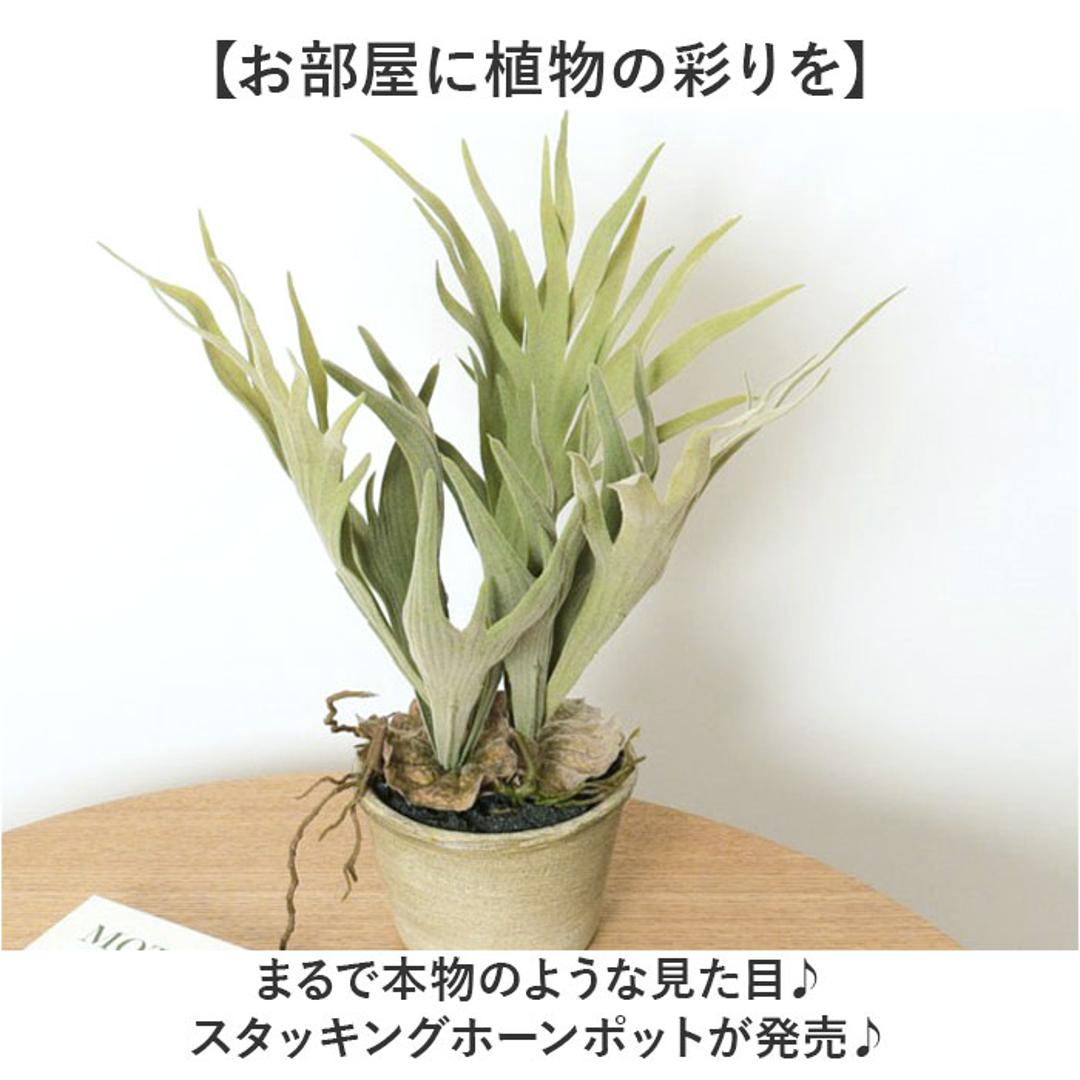 観葉植物 フェイク 大型 通販 フェイクグリーン スタッグホーン アーティフィシャルグリーン コウモリラン インテリアグリーン 人工観葉植物 大きめ 鉢植え ポット リビング ディスプレイ おしゃれ GLA-1364 スタッキングホーンポット ポピー YDM グリーン ・