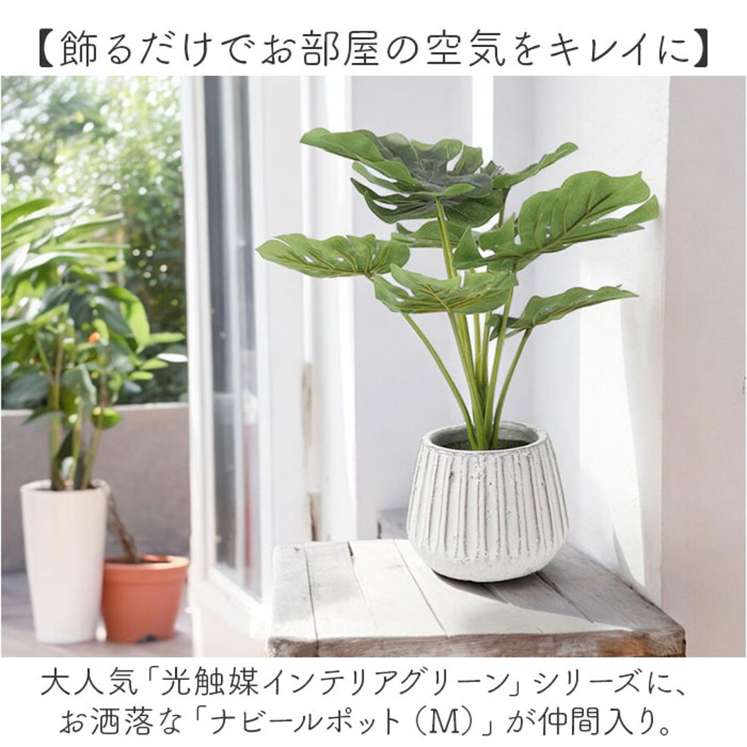 光触媒 人工観葉植物 通販 フェイクグリーン インテリアグリーン イミテーショングリーン インテリアプランツ ポット 陶器 植物 飾る 消臭 抗菌 防カビ おしゃれ 置物 イミテーション 癒し 癒やし リビング 和室 寝室 贈り物 ギフト 新生活 コウモリラン ・