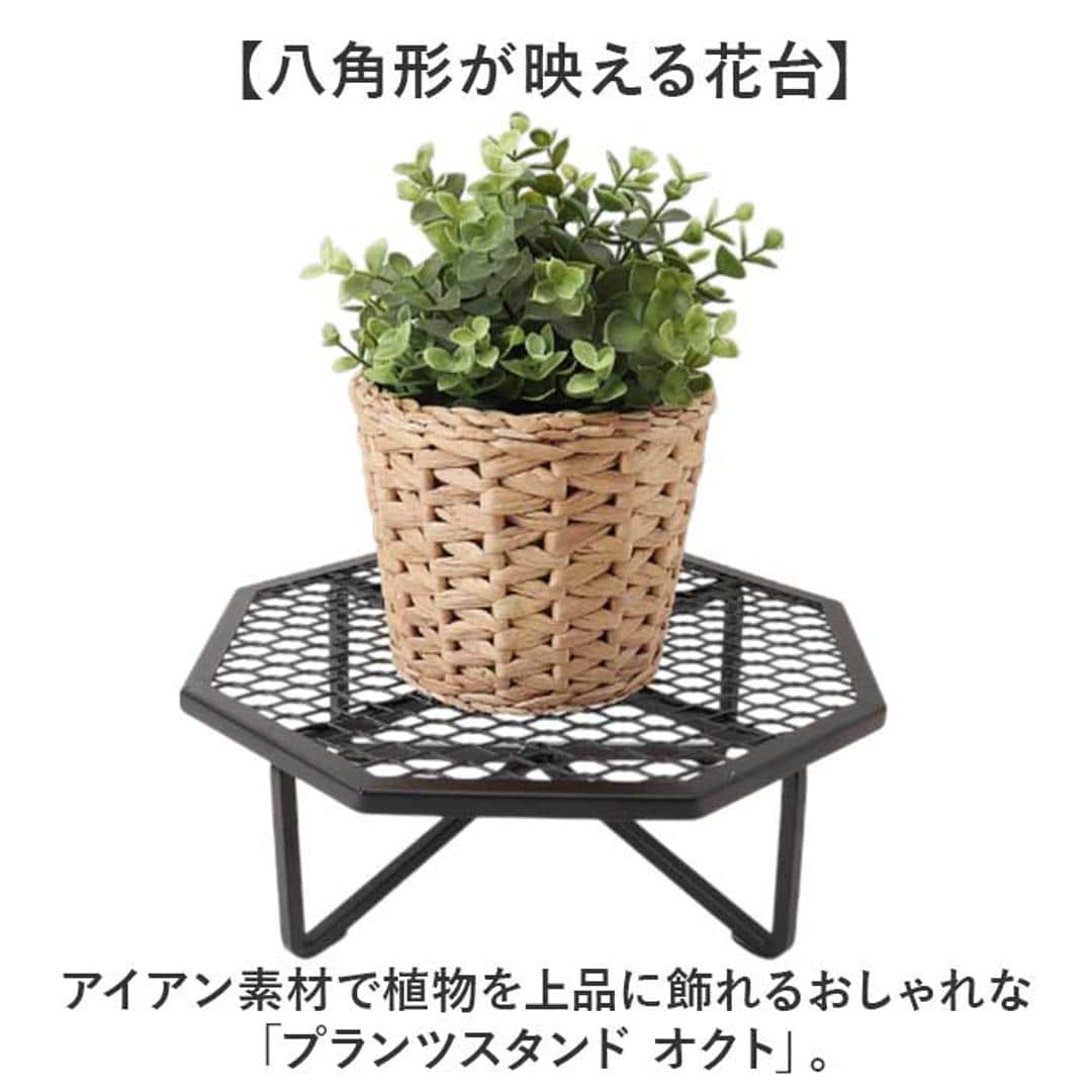 プランツスタンド オクト 通販 おしゃれ アイアン 植木鉢スタンド 花台 植物台 ガーデニング 観葉植物 プランツ ホームプランツ 鉢植え 植木鉢 屋内 屋外 シンプル スタンド ナチュラル POSH LIVING 飾り台 インテリア メッシュ台 ブラック ・