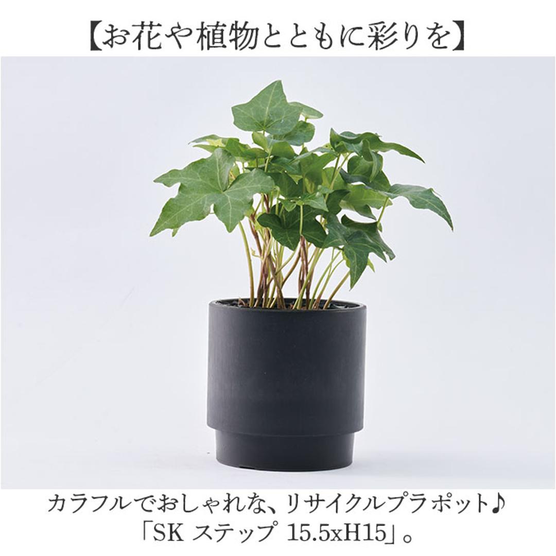 植木鉢 プラスチック 丸型 通販 SK ステップ 15.5xH15 鉢 約 5号 鉢カバー プランター プラポット プランターカバー 植木 ポット 鉢植え おしゃれ 軽量 軽い 観葉植物 フラワーアレンジメント インテリア リサイクルプラポット かわいい ミルキー ・