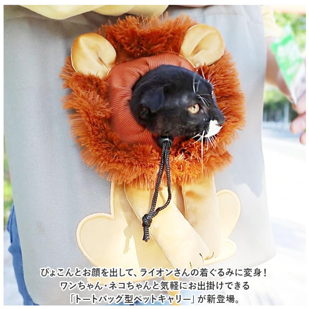 ペットキャリーバッグ トート ペット ペットキャリーバック 通販 ペットバッグ ペットバック ペットキャンバスバッグ ペットキャンバスバック キャリーバッグ キャリーバック トートバッグ トートバック ショルダーバッグ ショルダーバック ショルダー 肩掛け 顔出し 軽量 ミント 【即日発送】M