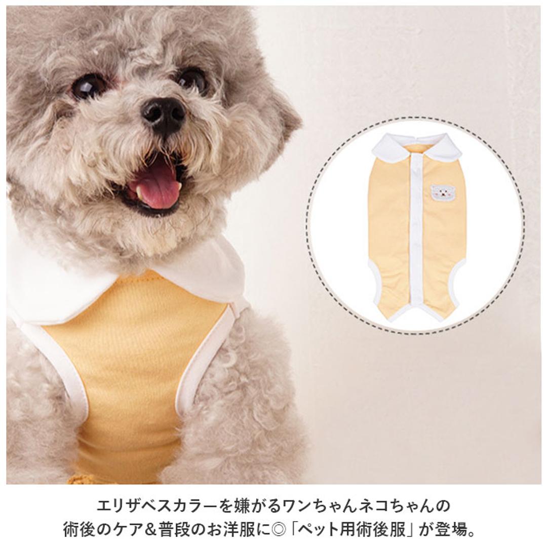犬 術後服 オス メス 通販 イヌ いぬ 避妊 去勢 男の子 女の子 ペット パンツ 傷口 保護 引っ掻き 防止 傷舐め 噛み 背中開き 介護 薄手 伸縮性 猫 ねこ ネコ 怪我 ケガ かわいい グリーン 【即日発送】S