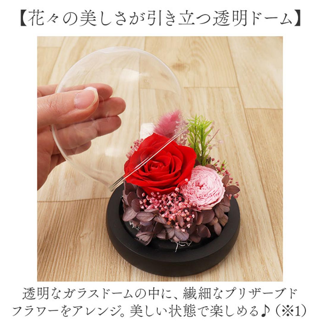 ブリザードフラワ- 通販 フラワーギフト ガラス製 フラワーアレンジメント ガラスドーム お花 花 かわいい おしゃれ フラワー 結婚祝い 新築祝い 玄関 リビング 引越し祝い インテリア 退職 退職祝い アムール・デ・フルール ギフト 贈り物 引っ越し祝い ピンク ・