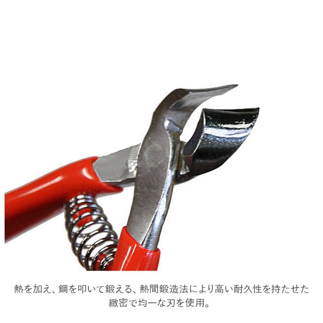 爪切り 介護用 通販 つめきり 看護 爪切りニッパー 介護用つめ切り ニッパー型爪切り 爪やすり付 グリップ付き 巻き爪 陥入爪 斜刃 使いやすい 握りやすい ソフトグリップ 新潟県三条 三条の刃物 古澤製作所 レッド ・