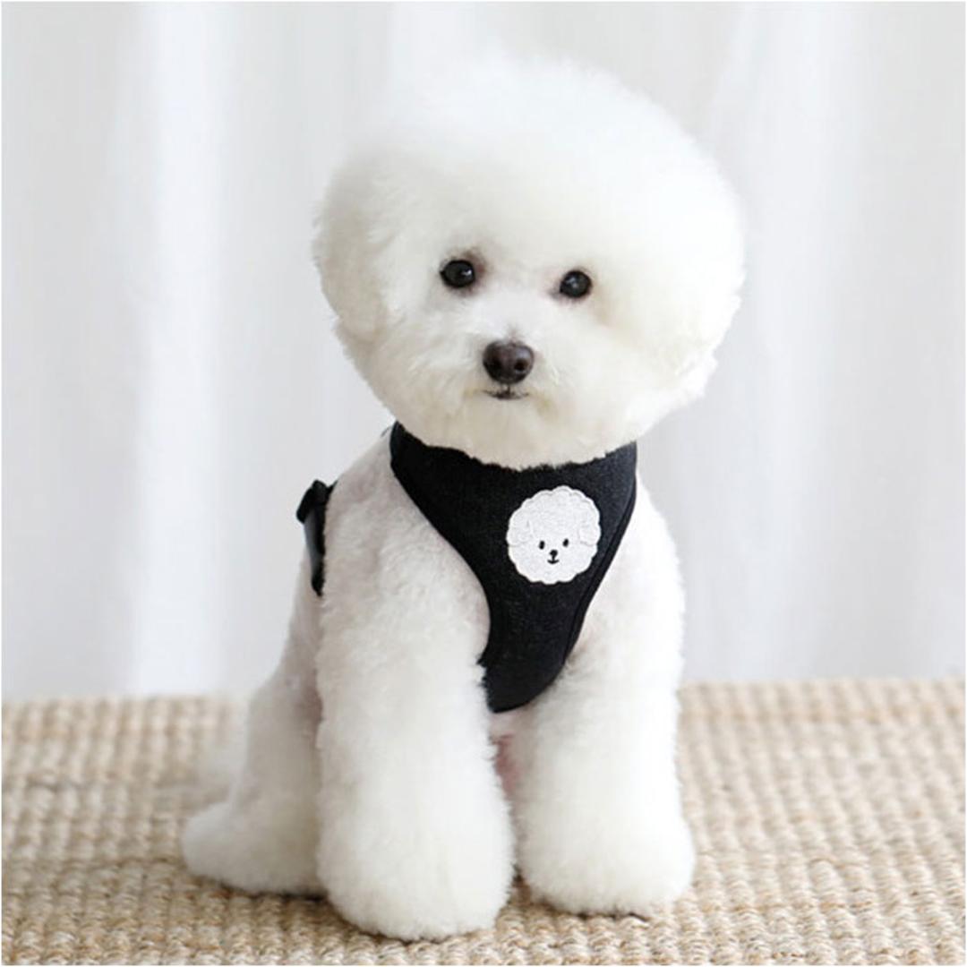 小型 犬 ハーネス リード セット 通販 ハーネスリード ハーネスリードセット ハーネス&リード 胴輪 首輪 リードセット かわいい おしゃれ 抜けない 犬用 簡単装着 ペット 小型犬 いぬ イヌ お散歩 散歩 お出かけ おでかけ ペット用 可愛い ブラック XS