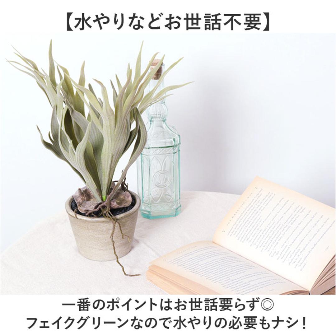観葉植物 フェイク 大型 通販 フェイクグリーン スタッグホーン アーティフィシャルグリーン コウモリラン インテリアグリーン 人工観葉植物 大きめ 鉢植え ポット リビング ディスプレイ おしゃれ GLA-1364 スタッキングホーンポット ポピー YDM グリーン ・