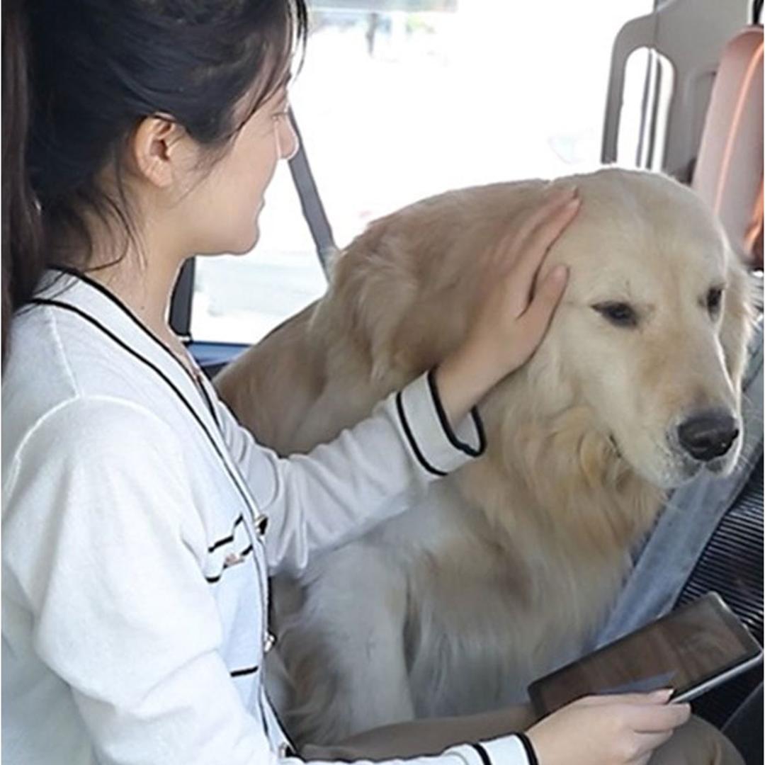 ペット ドライブシート 車用 後部座席 通販 カーシート シート カーシートカバー ペットシートカバー ドライブベッド ペット用ドライブシート 後部座席用 汚れ防止 キズ防止 取付簡単 お手入れ簡単 メッシュ窓 犬 いぬ 車内 車 カー用品 カーアクセサリー グレー ・