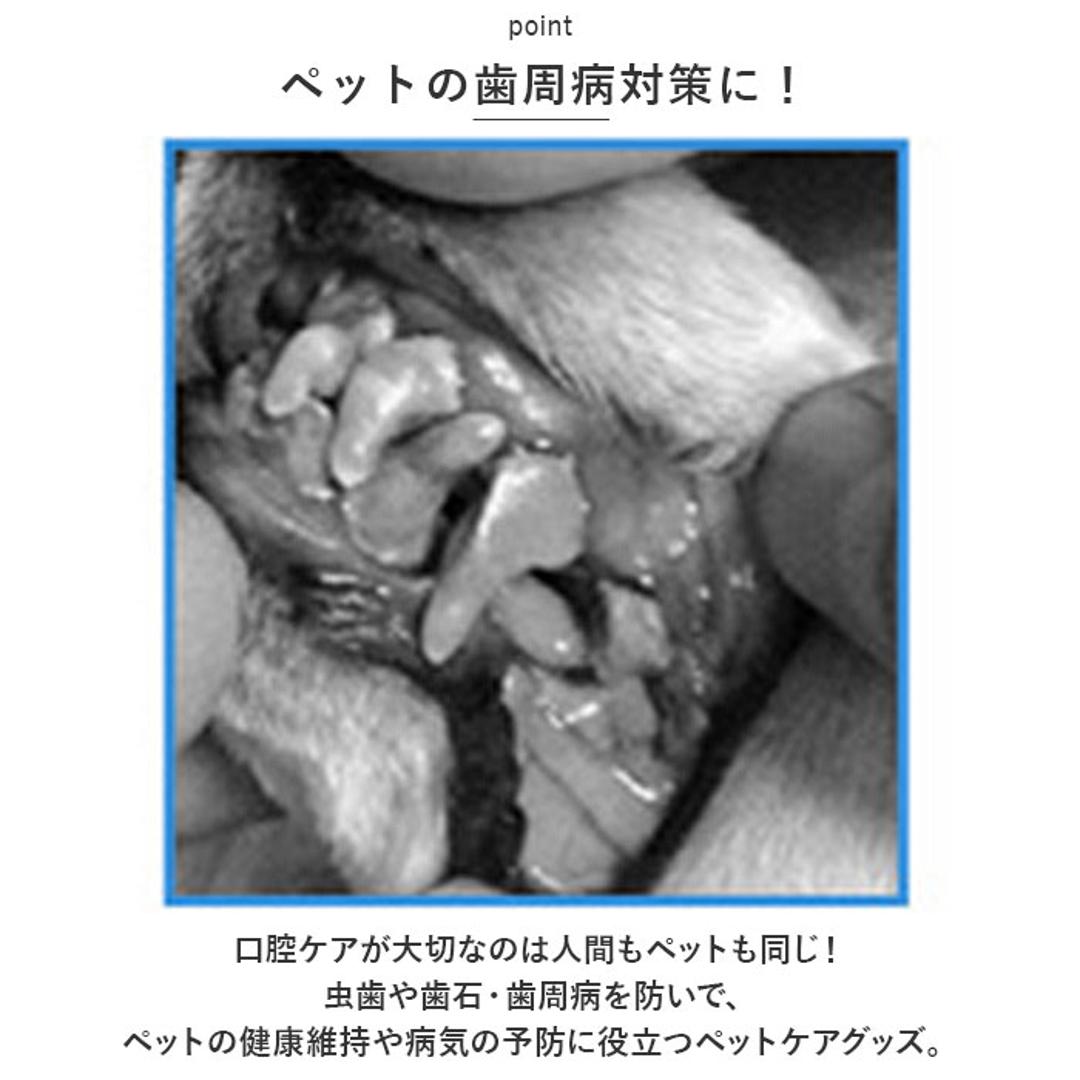 ペット 歯ブラシ 通販 ペット歯ブラシ 歯磨き 歯ぶらし 指サック 指歯ブラシ ペット用指歯ブラシ ペット用 口腔ケア クリーニング はぶらし ハブラシ 犬 猫 イヌ ネコ いぬ ねこ 口腔ケア用 犬用 猫用 ホワイト ・