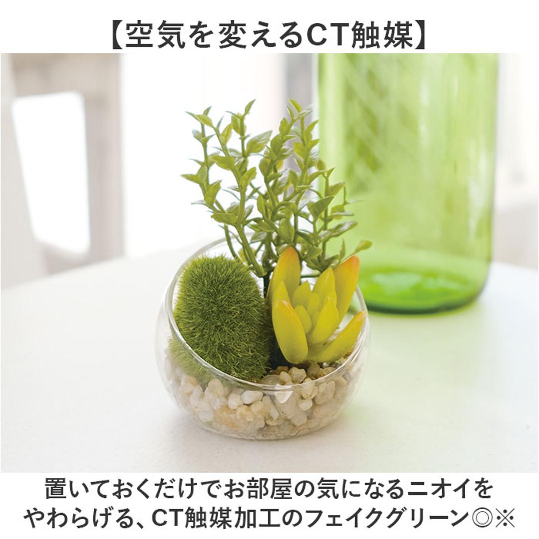CT触媒 フェイクグリーン 通販 キシマ Sサイズ アーティフィシャルグリーン 観葉植物 フェイク グリーン 人工観葉植物 卓上 多肉植物 寄せ植え ガラス 消臭 小さめ ミニ 小型 かわいい リビング リアル kishima 造花 インテリア 61433.Aタイプ ・