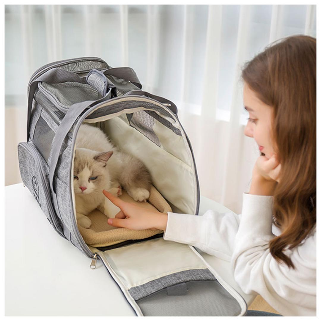 ペットキャリー 折りたたみバッグ 通販 ボストンバッグ 犬 猫 キャリーバック ペットキャリーバッグ 折り畳み おしゃれ 顔出し 小型犬 おしゃれ 旅行 通院 おでかけ 猫用 ネコ 犬用 いぬ ペット グッズ ペット用品 ブラック ・