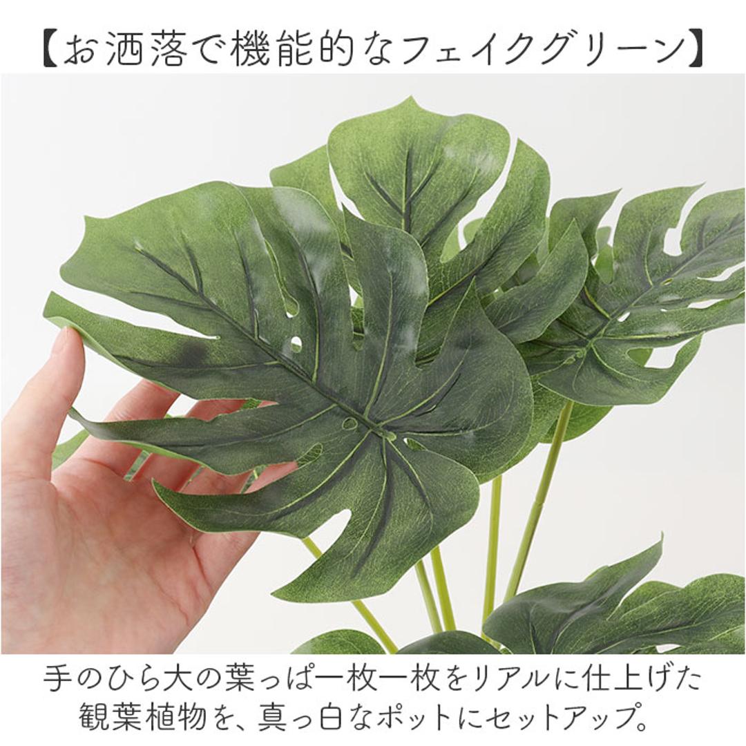 光触媒 人工観葉植物 通販 フェイクグリーン インテリアグリーン イミテーショングリーン インテリアプランツ ポット 陶器 植物 飾る 消臭 抗菌 防カビ おしゃれ 置物 イミテーション 癒し 癒やし リビング 和室 寝室 贈り物 ギフト 新生活 コウモリラン ・