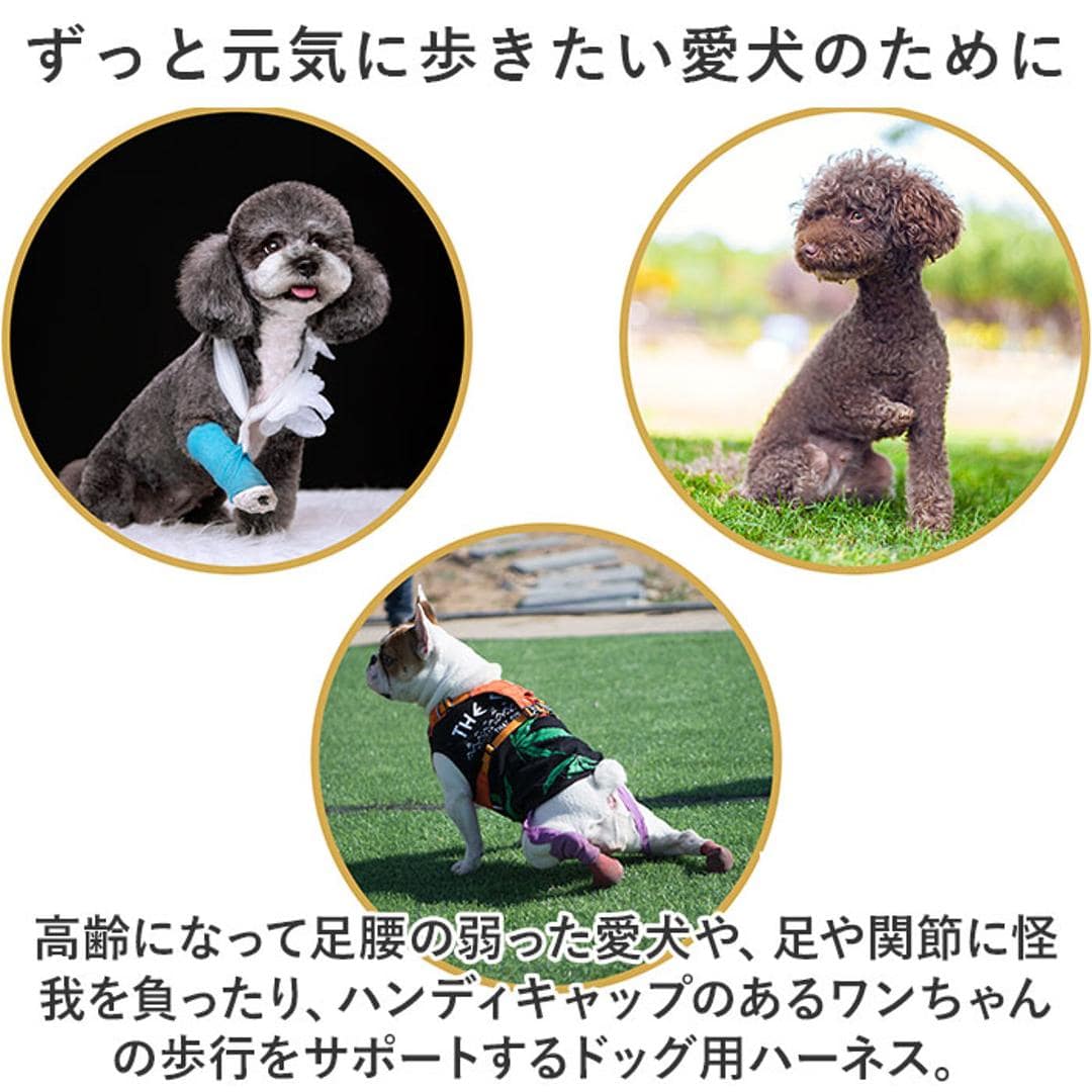 犬 ハーネス 介護用 通販 介護用ハーネス 歩行補助ハーネス 犬用ハーネス 歩行補助 全身サポート 歩行 前足 後ろ足 補助 ペット用 脱着簡単 柔らかい 通気性 反射材 介護 小型犬 中型犬 老犬 リハビリ 怪我 手術 快復中 病気 ネイビー 【即日発送】Sサイズ
