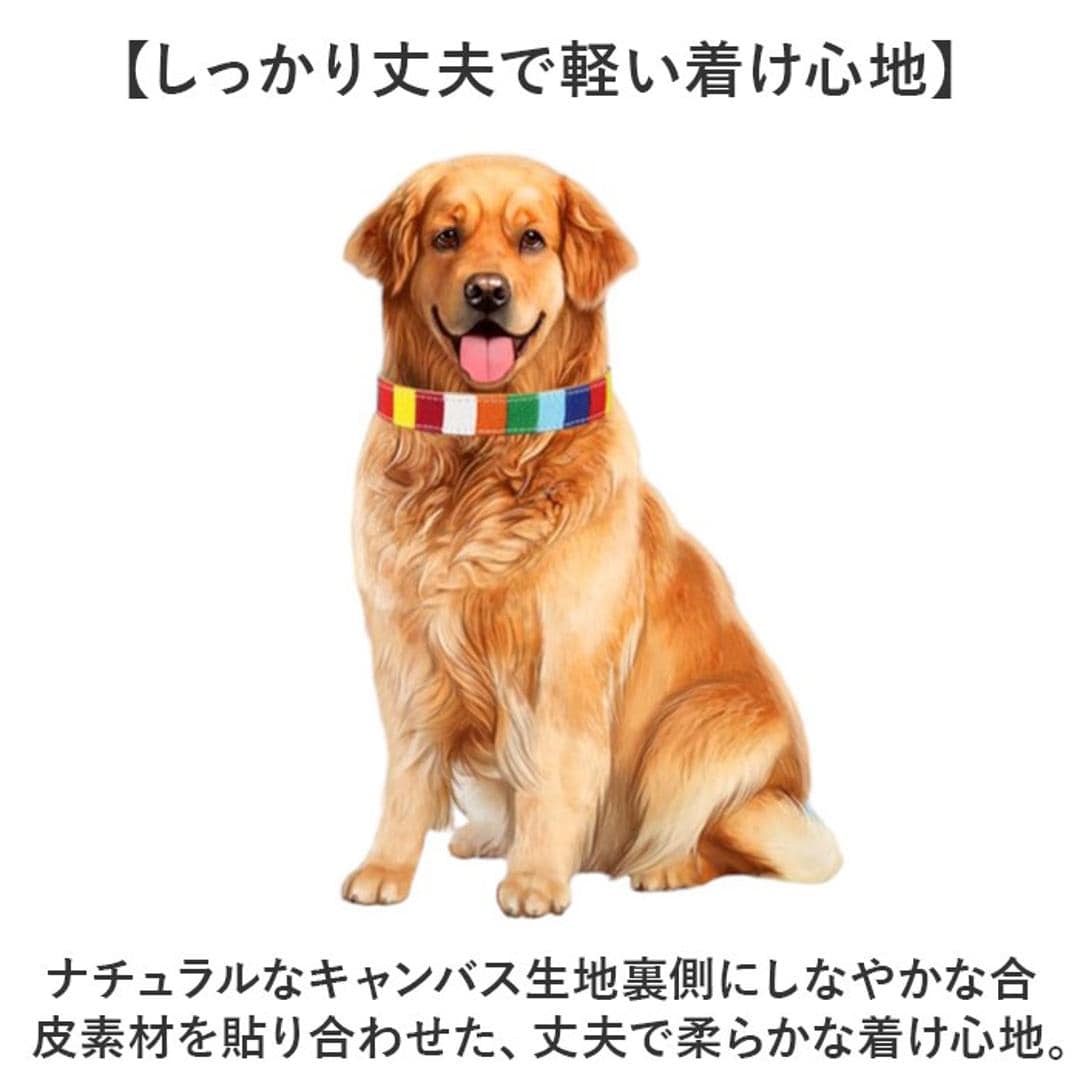 首輪 犬 通販 犬の首輪 中型犬 小型犬 かわいい 可愛い おしゃれ 調節可能 シンプル カジュアル 犬アクセサリー オシャレ お出掛け お出かけ さんぽ 散歩 ベルト式 キャンバス+PU 犬グッズ ペットグッズ ペット用品 マルチカラー 【即日発送】Sサイズ