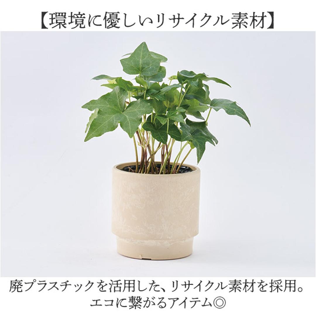 植木鉢 プラスチック 丸型 通販 SK ステップ 15.5xH15 鉢 約 5号 鉢カバー プランター プラポット プランターカバー 植木 ポット 鉢植え おしゃれ 軽量 軽い 観葉植物 フラワーアレンジメント インテリア リサイクルプラポット かわいい ミルキー ・