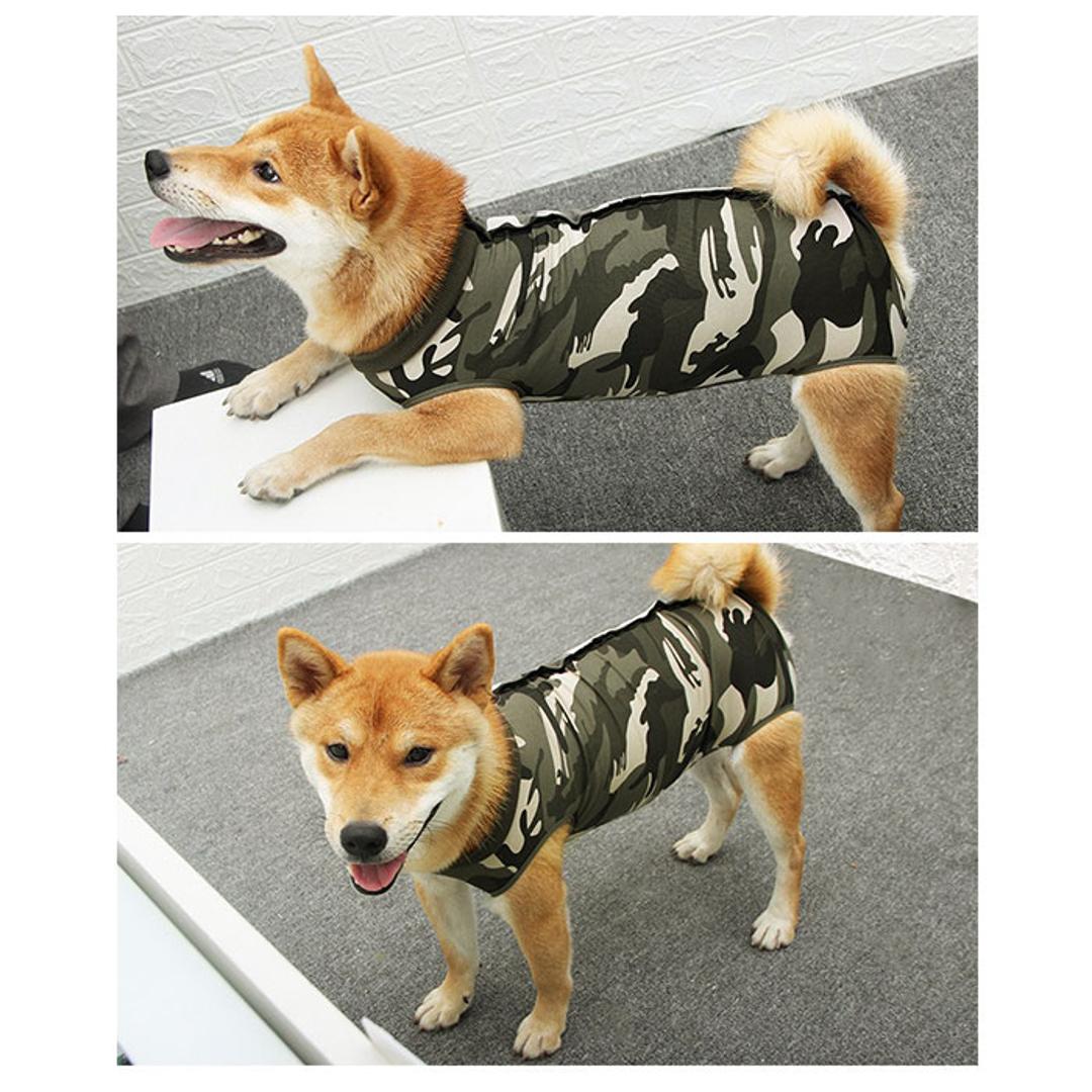 犬 術後服 通販 オールシーズン 介護服 着術後ウェア ペット用品 猫 ネコ ねこ いぬ イヌ 犬用 猫用 ペット服 術後ウェア パンツ ドッグウェア 袖なし 袖無 四脚 皮膚保護 手術 怪我 傷舐め防止 傷口保護 傷 舐めない 柴犬 ビーグル テリア コリー グリーン 【即日発送】Sサイズ