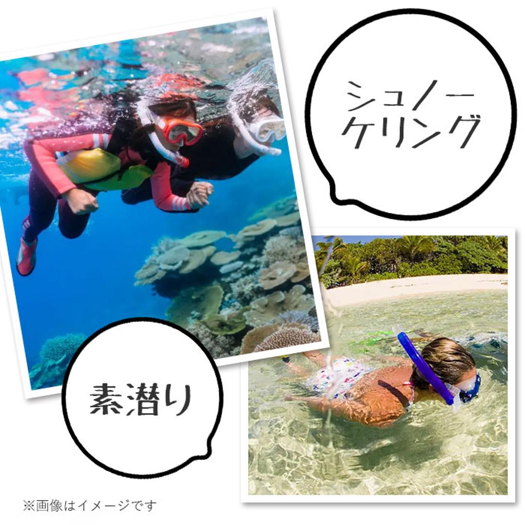 シュノーケル セット 通販 シュノーケルセット スイムセット 大人 シュノーケル セット メンズ レディース 13才 大人 マスク スノーケル 排水弁付き 水遊び YD582 ブルー スモーク ラベンダー スモーク ・