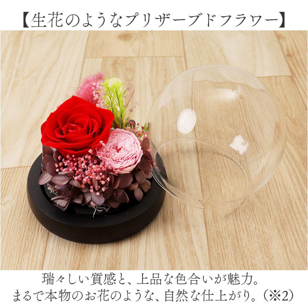 ブリザードフラワ- 通販 フラワーギフト ガラス製 フラワーアレンジメント ガラスドーム お花 花 かわいい おしゃれ フラワー 結婚祝い 新築祝い 玄関 リビング 引越し祝い インテリア 退職 退職祝い アムール・デ・フルール ギフト 贈り物 引っ越し祝い ピンク ・