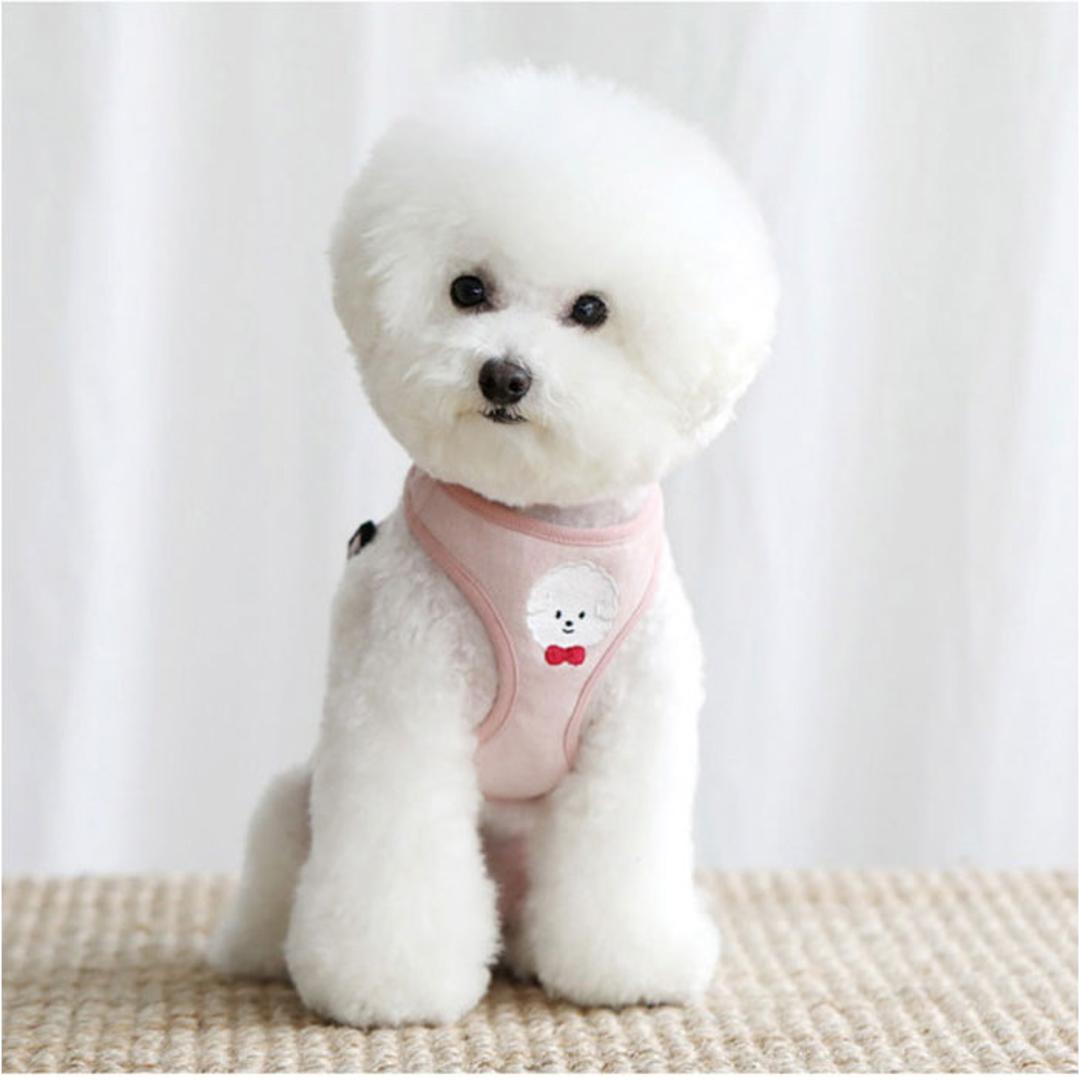 小型 犬 ハーネス リード セット 通販 ハーネスリード ハーネスリードセット ハーネス&リード 胴輪 首輪 リードセット かわいい おしゃれ 抜けない 犬用 簡単装着 ペット 小型犬 いぬ イヌ お散歩 散歩 お出かけ おでかけ ペット用 可愛い ブラック XS